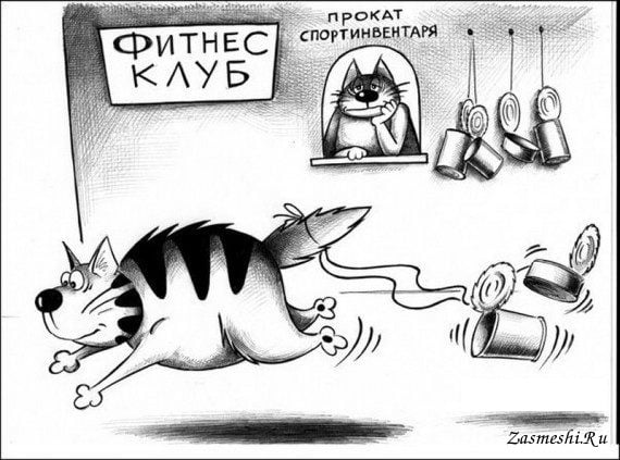 Юмор из интернета 689 позитив,смех,улыбки,юмор