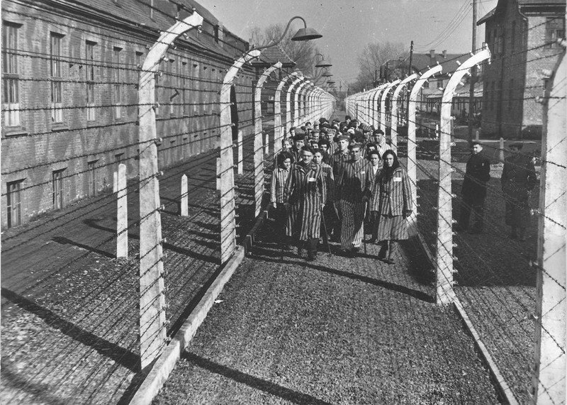  Освобождение концлагеря Освенцим (Auschwitz- Birkenau). 27 января 1945 года война, вторая мировая война, концлагеря, освенцим