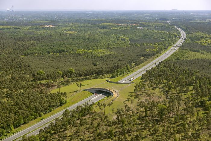 A Green Wildlife Bridge Over An Autobahn In Germany