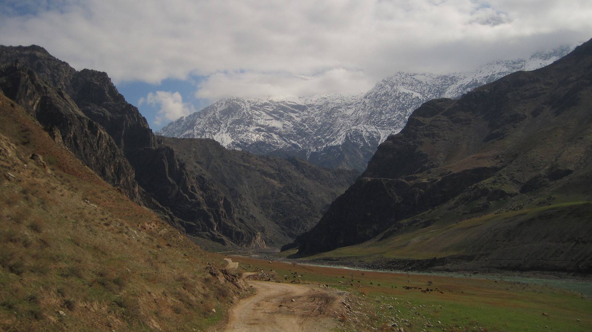 В Таджикистане застрелены четверо протестующих