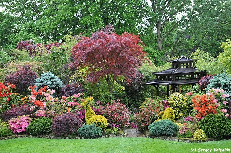 Самый яркий сад Англии растений, когда, всегда, Когда, хорошо, форму, растения, время, через, сильно, ручей, хвойные, больше, очень, части, вместе, Просто, такой, другие, садовых