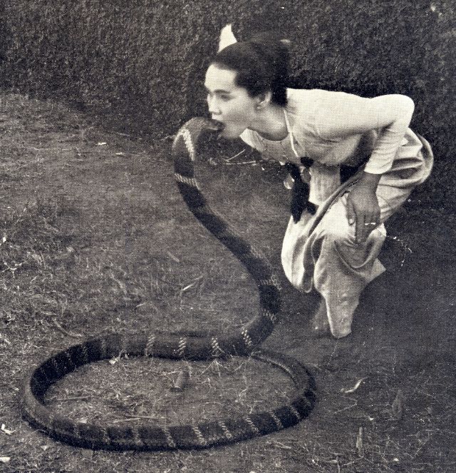 Дружба животных и людей на фотографиях 19 века
