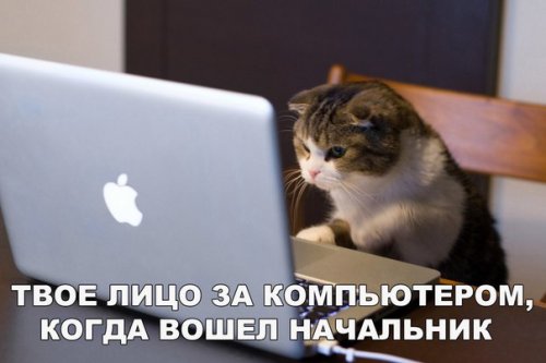 Прикольные фотомемы на Бугаге (21 шт)