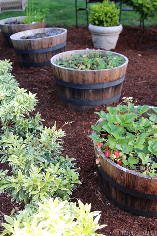 Клубника: как только не сажают эту ягоду Клубника: как только не сажают эту ягоду поделки для сада