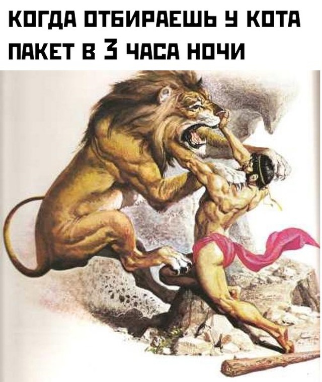 Подборка прикольных картинок Подборка прикольных картинок приколы,смешные картинки,юмор