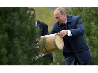 Путин слил? Недолил, отлил, налил или подлил? россия