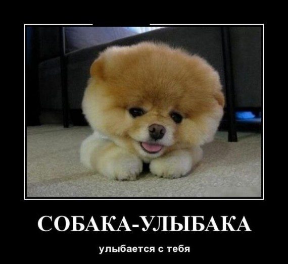 Прикольные демотиваторы дня!