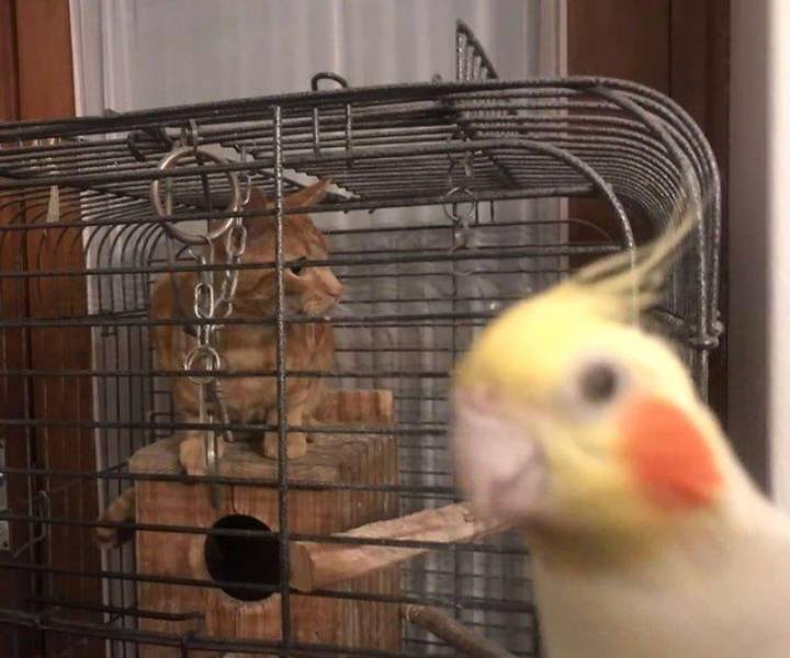 Подборка прикольных картинок Подборка прикольных картинок приколы,смешные картинки,юмор