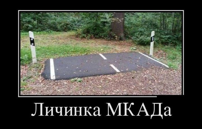 Авто-демотиваторы авто,автомобили,отдых,подборка,фото,юмор