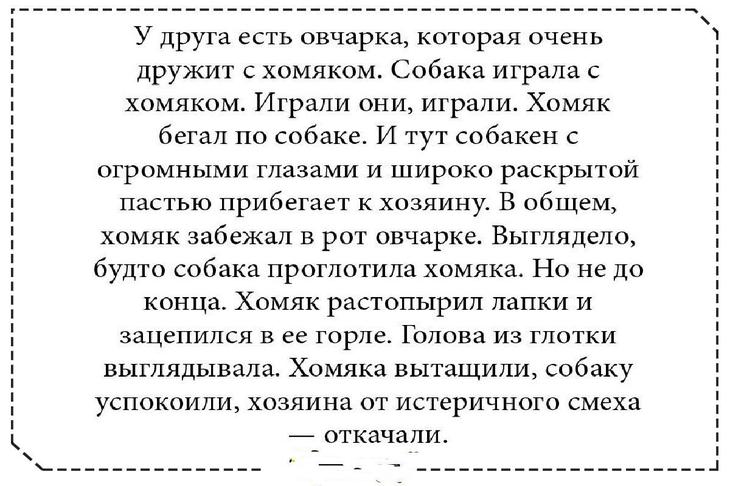 Несколько добрых и забавных жизненных историй, которые поднимают настроение 