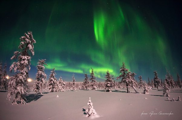 Прекрасные мгновения полярного сияния (12 фото)