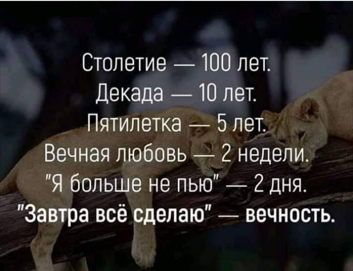 1-е Мая. Демонстрация. Лазит по толпе телерепортер и пристает ко всем с вопросами... весёлые, прикольные и забавные фотки и картинки, а так же анекдоты и приятное общение