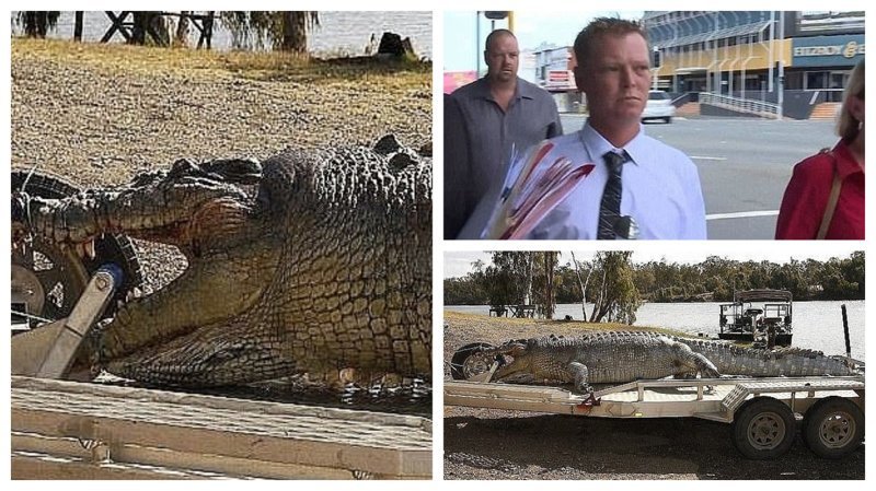 Убийцу 100-летнего крокодила оштрафовали на 10 000 долларов ynews, австралия, животные, истории из жизни, крокодил, охрана животных, убийства животных, штраф