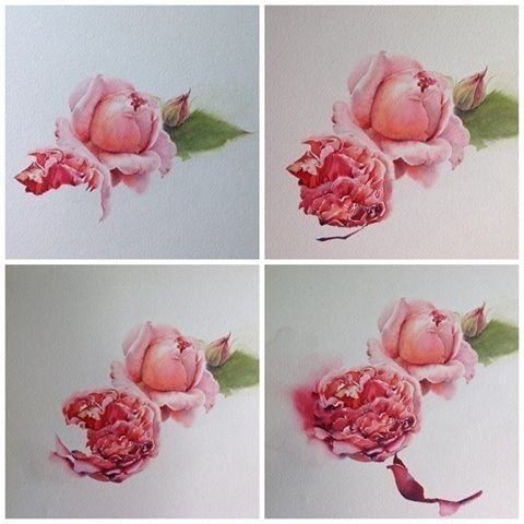 Рисуем акварельные розы: мастер-класс мастер-класс,рисование