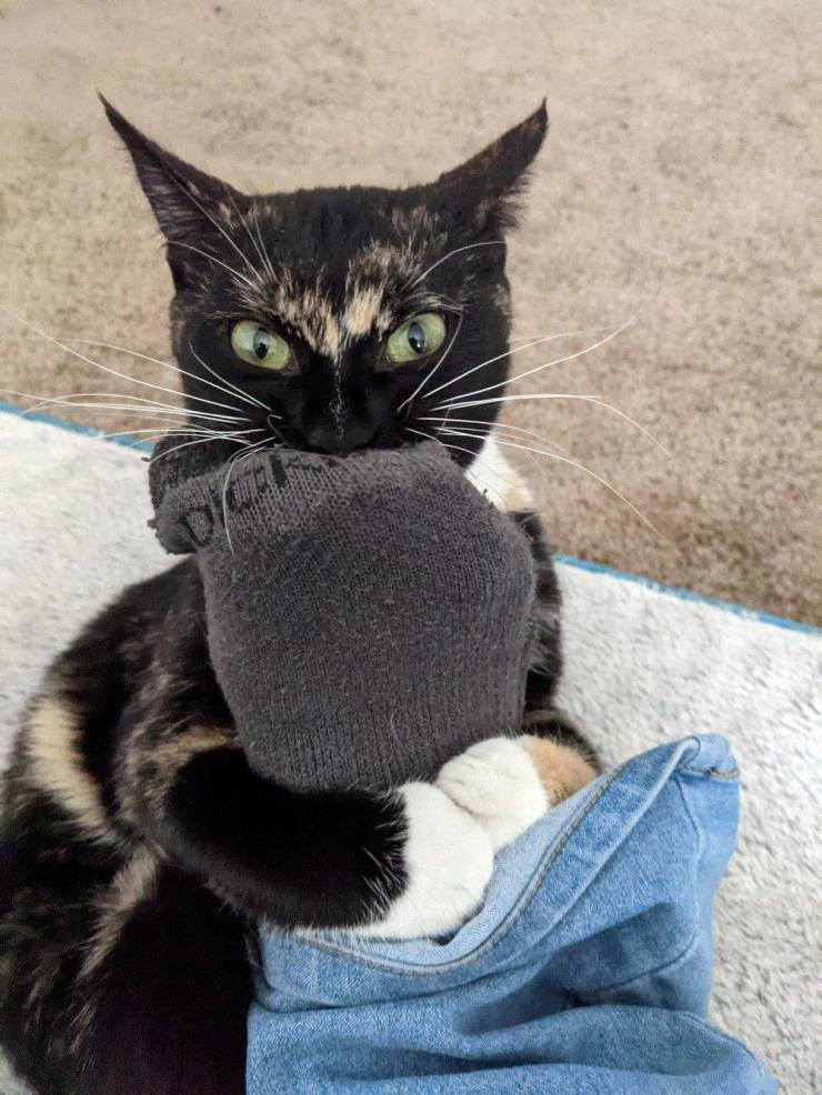 Подборка прикольных картинок Подборка прикольных картинок приколы,смешные картинки,юмор