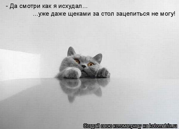 Мысли вслух :)