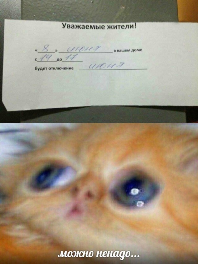 Подборка прикольных картинок Подборка прикольных картинок приколы,смешные картинки,юмор