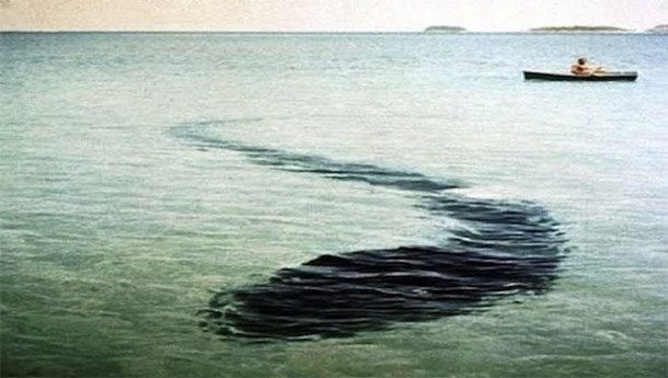 Подводный монстр Французский фотограф Робер Серрье совершал прогулку вокруг австралийского островка на небольшой лодке, когда с ужасом заметил огромную тень под водой. Выдержки Роберу хватило ровно на одну фотографию.