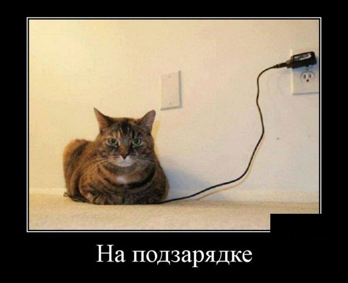 На подзарядке демотиватор, юмор