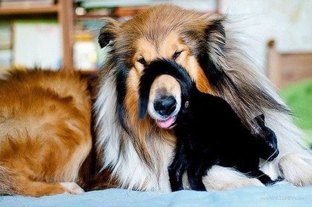 Прикольный позитив в фотографиях (110 фото)