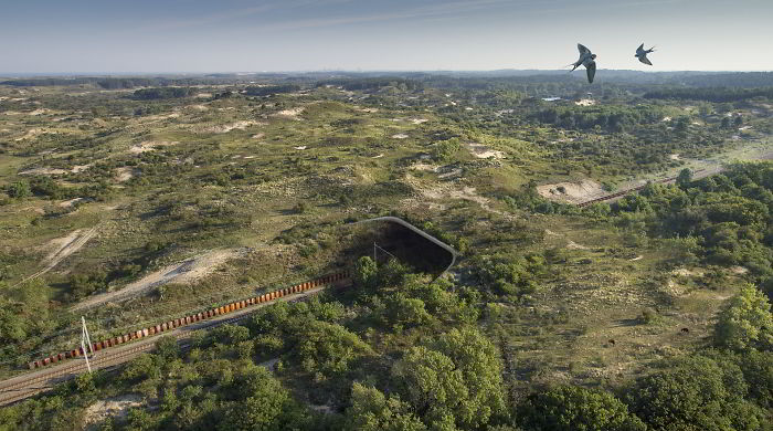 Ecoduct Duinpoort, About Halfway Between Zandvoort And Haarlem, The Netherlands