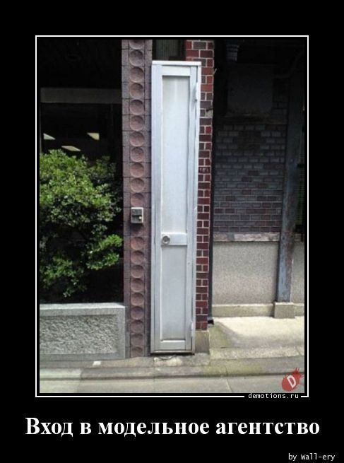 Демотиваторы для всех: «Слушай, дорогая…» 