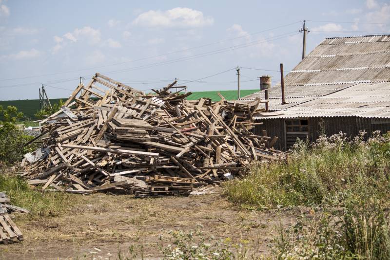 Записки Колорадского Таракана №200. Немного воняет, но перспективы есть Записки Колорадского Таракана №200. Немного воняет, но перспективы есть украина