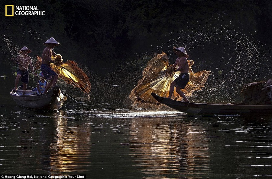 Фантастические снимки читателей журнала  National Geographic national geographic, животные, мир, природа, фотографии