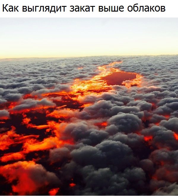 Классные и красивые фотографии для хорошего настроения 