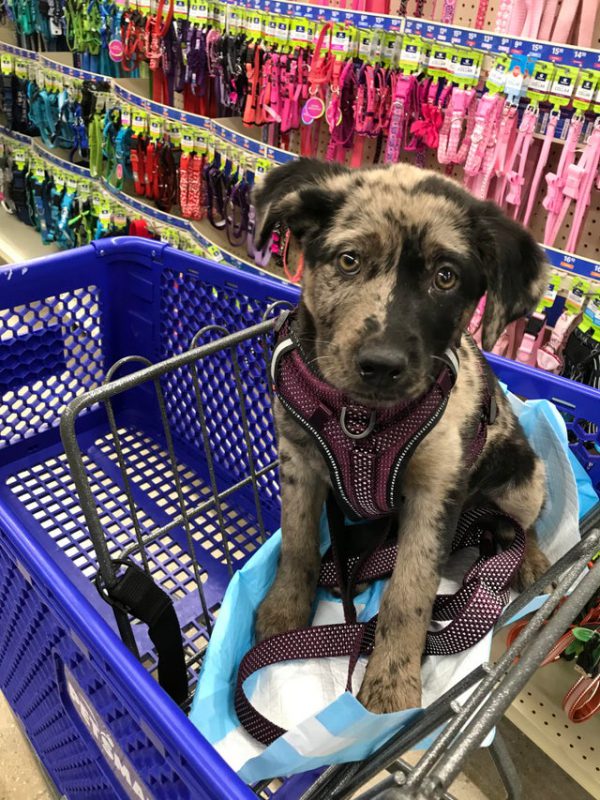 Мимишные фото от которых на душе станет теплее