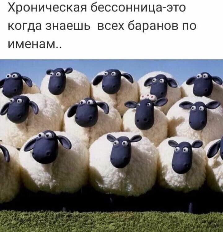 Отличные анекдоты и зачетные шуточки 