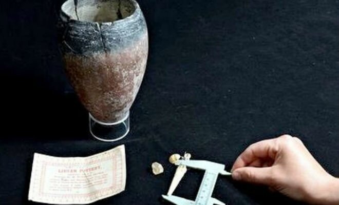 Удивительные артефакты, найденные людьми у себя дома