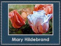 Mary Hildebrand 