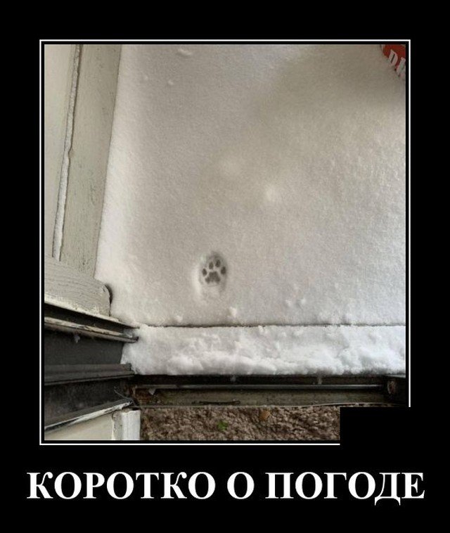 Демотиваторы. Максимальный эффект Демотиваторы. Максимальный эффект