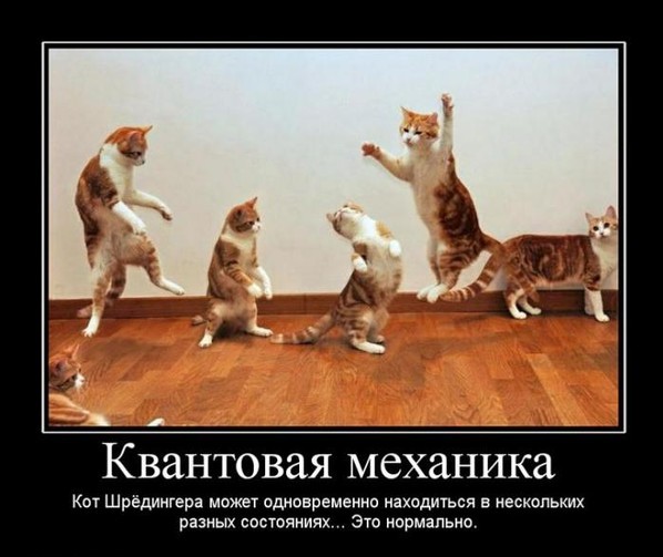 Физики тоже шутят: самые смешные открытки про науку! Физики тоже шутят: самые смешные открытки про науку! физики тоже шутят,юмор