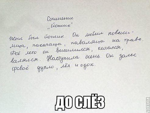 Гаишник останавливает автомобиль, превысивший скорость. — Куда вы так спешите?... клетки, каждый, двери, очень, увидели, Доплелся, Новый, открылись, морской, закрылись, Затем, Двери, светящиеся, номерки, комнатушку, отсчитали, десяти, Мужчина, последовал, обратный