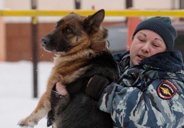 В Челябинске спасли служебную собаку, отравившуюся наркотиками во время обыска притона наркомания, полиция, собака, спасение, челябинск