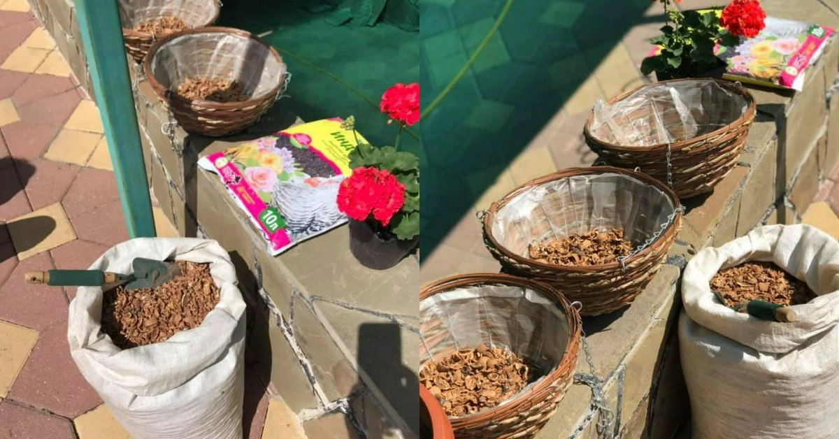 Ореховая скорлупа в огороде: используем во благо растениям дача,комнатные растения,полезные советы,сад и огород,удобрения
