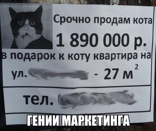 Двойной удар - это когда на грабли еще и нагадили турникеты, туалетную, своего, домой, бумагу, только, такой, Проблема, любом, положенииМоя, детские, опоры, очень, точку, любит, пересматривать, бабушка, догляделито, шепча, падлюка