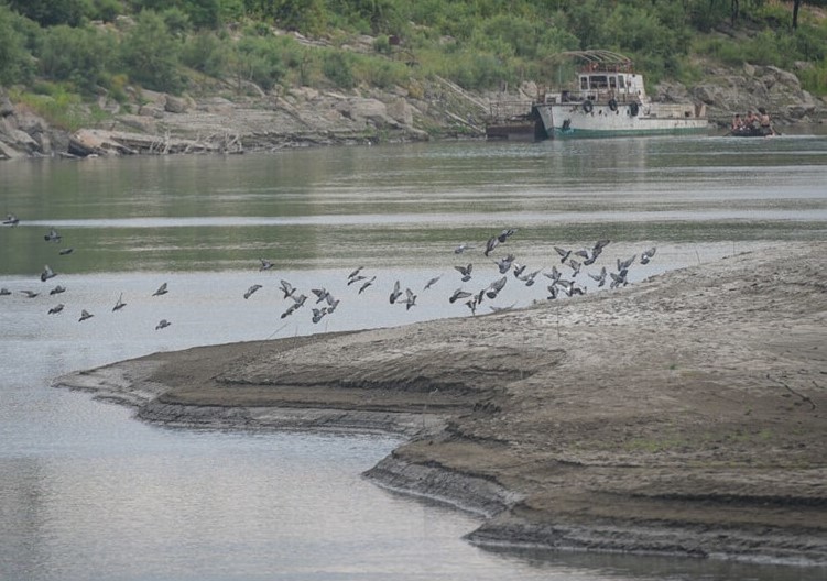 Кура может «недосчитаться» Аракса, а Каспийское море – Куры?
