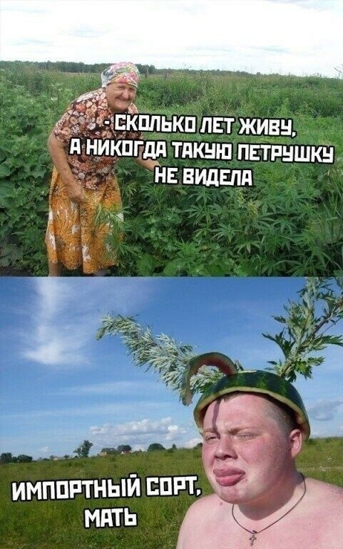 Вредитель 