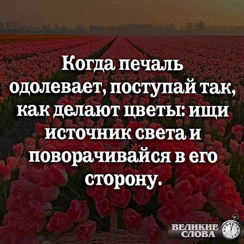 Дождались! Новая подборка юмора 