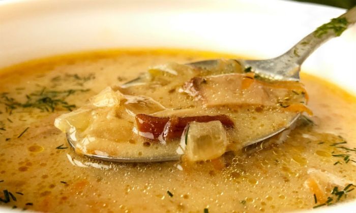Грибная юшка: суп из Карпат
