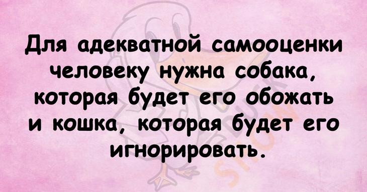 Чтобы поднять себе настроение, достаточно лишь нескольких шуточных фраз 