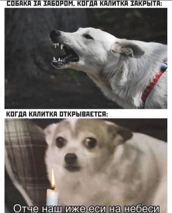 Учите белорусский язык, и вам не надо будет думать: вам звонЯт или звОнят, потому что вам Учите белорусский язык, и вам не надо будет думать: вам звонЯт или звОнят, потому что вам