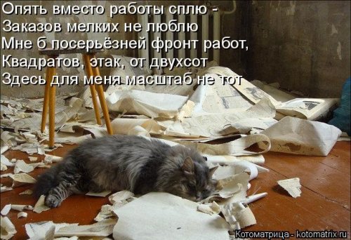 Свежая котоматрица для всех  смешные картинки