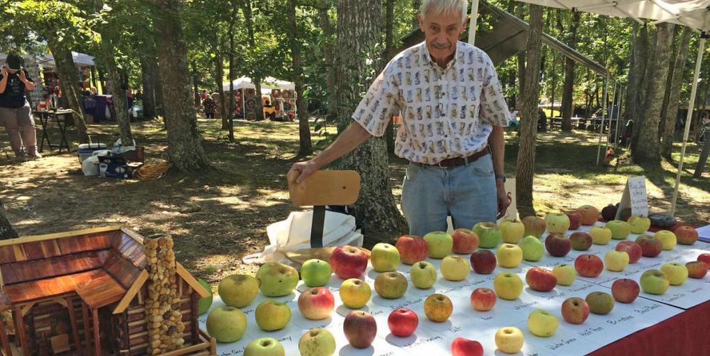 Пенсионер восстанавливает самые редкие сорта яблок с помощью своего уникального сада дача,сад и огород,садоводство