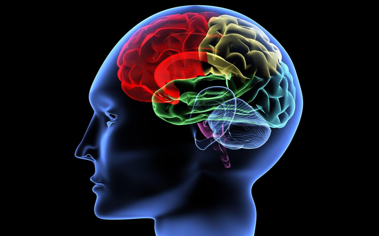 5 расстройств мозга, которые делают людей сильнее