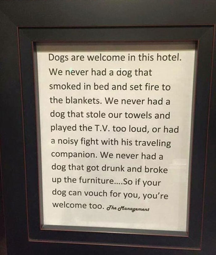 This Hotels Pet Policy