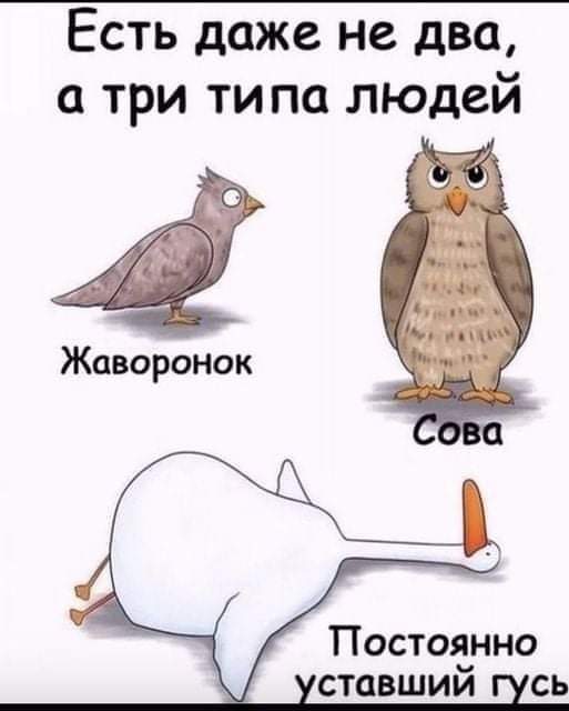 Заряжаемся позитивом с новой подборочкой веселостей! 